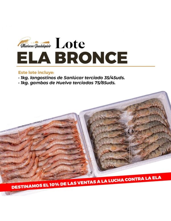 Lote ELA bronce