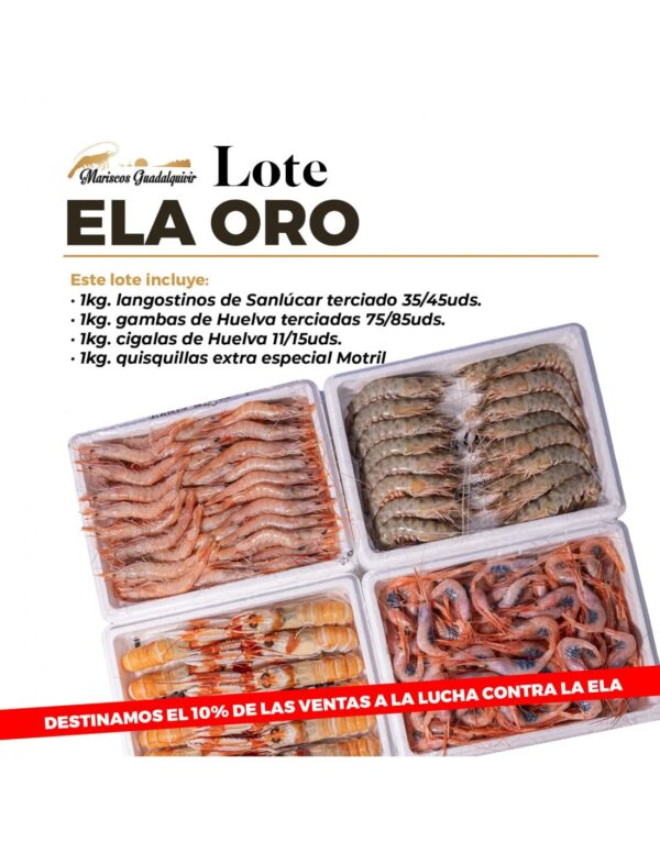 LOTE ELA ORO