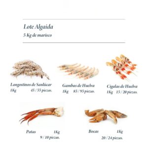 Lote Algaida