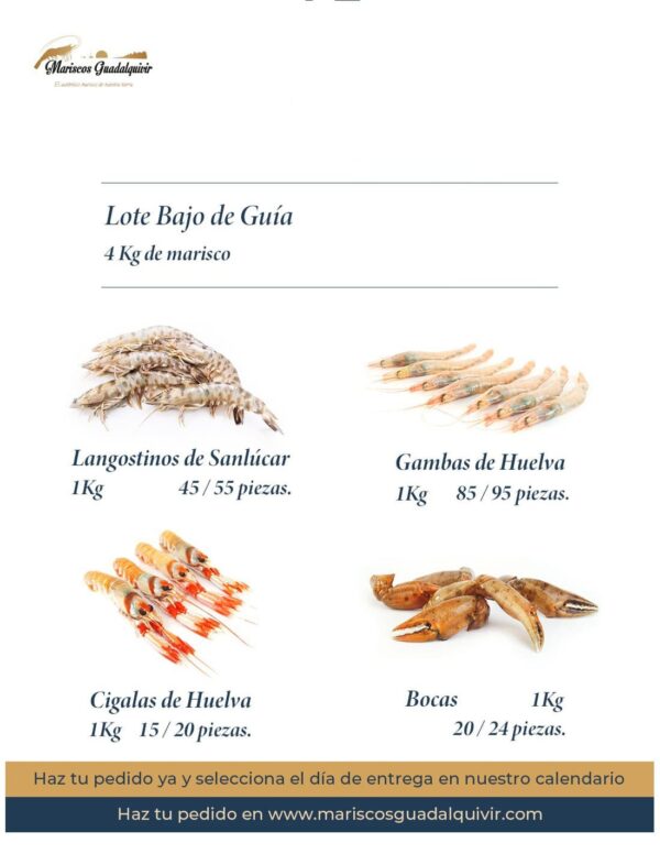 Lote Bajo de Guía