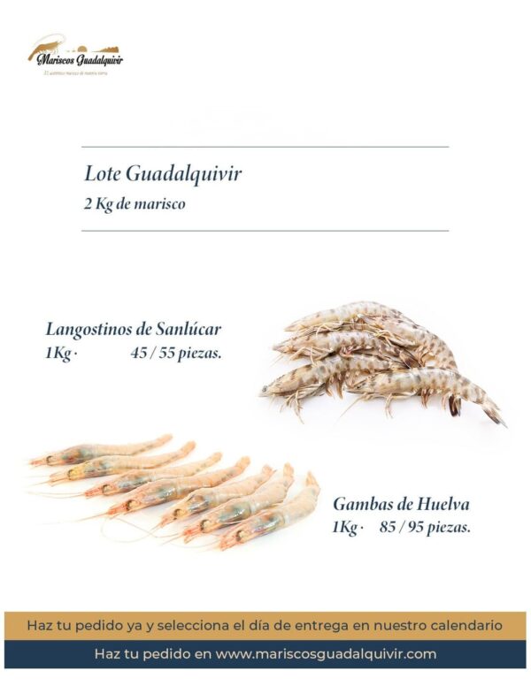 Lote Guadalquivir