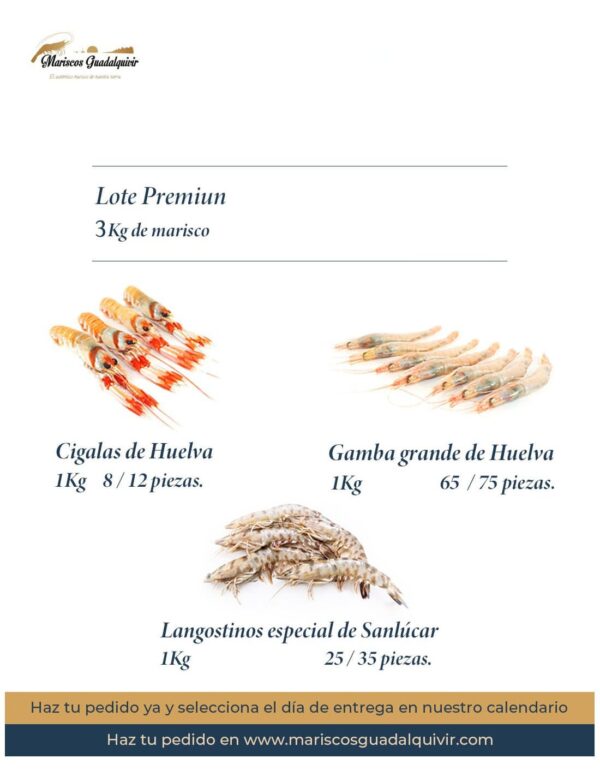 Lote Premium