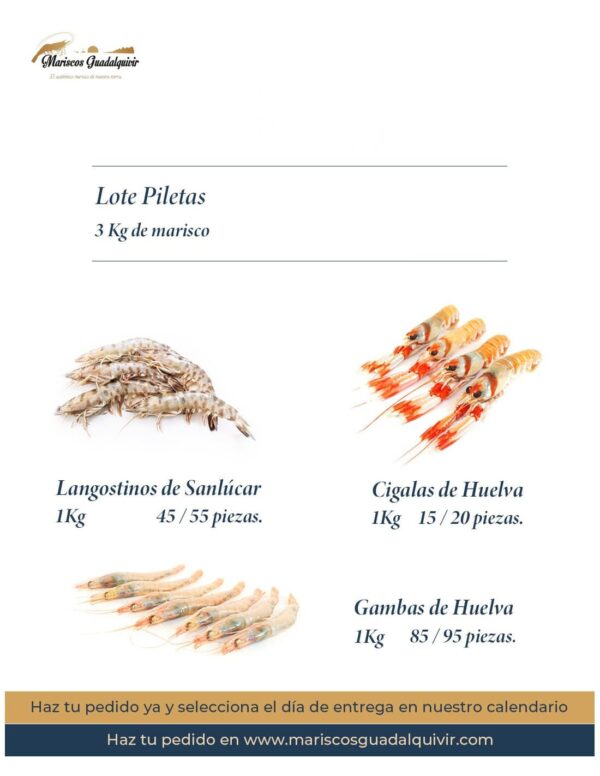 Lote Piletas