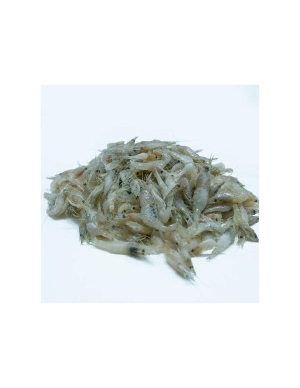Camarones