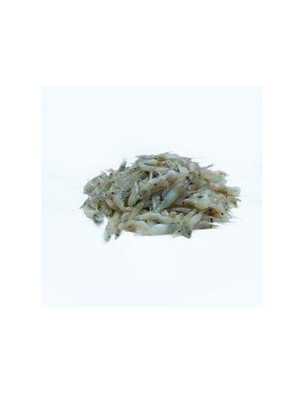Camarones - Imagen 3