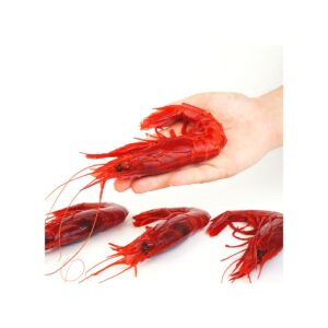 Cola carabineros