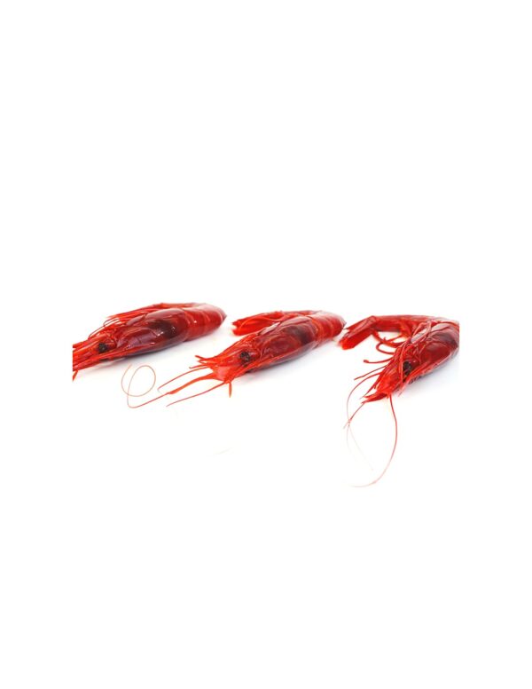 Carabineros