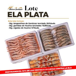 LOTE ELA PLATA