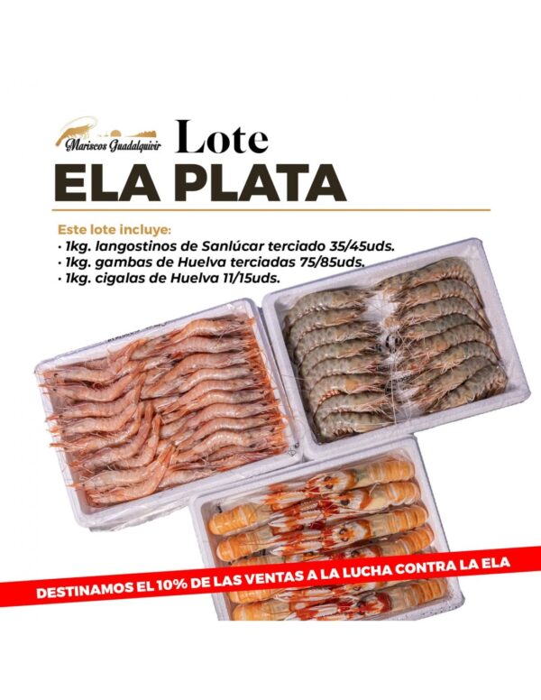 LOTE ELA PLATA