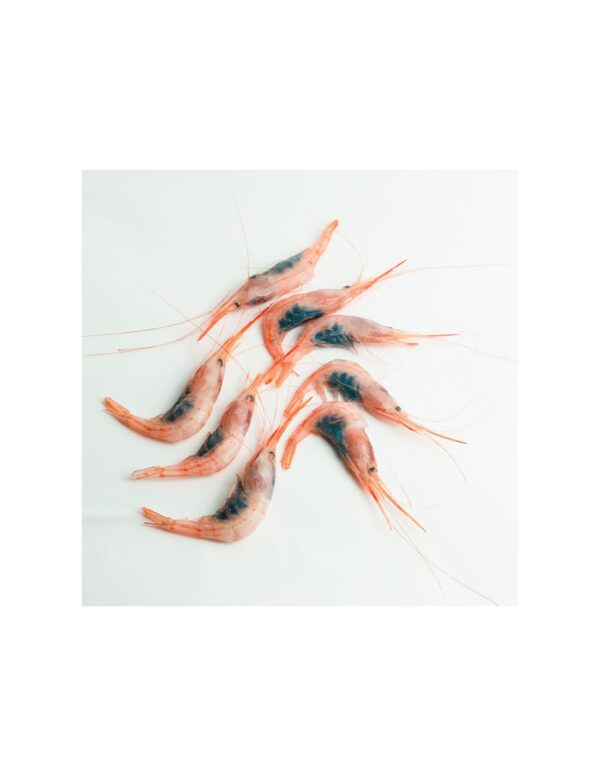 Quisquillas - Imagen 3